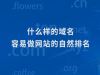 什么样的域名更容易做seo