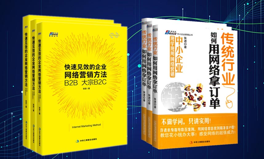 网络营销书